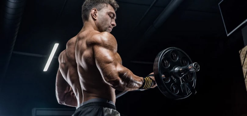 Build Muscle